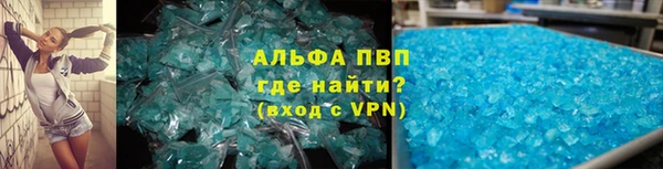 сатива Аркадак