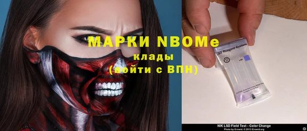 сатива Аркадак