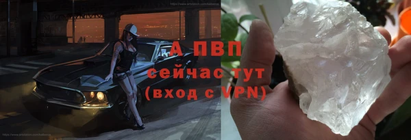 сатива Аркадак
