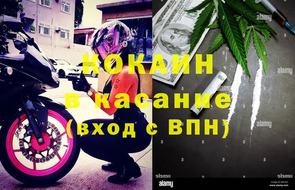 сатива Аркадак