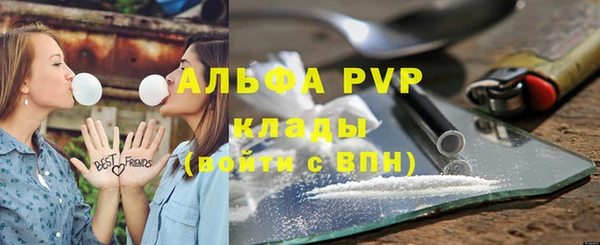 сатива Аркадак