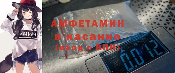 сатива Аркадак