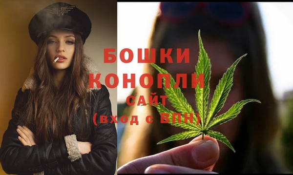 сатива Аркадак